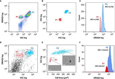 Characterization of Coelomic Fluid Cell Types in the Starfish Marthasterias glacialis Using a Flow Cytometry/Imaging Combined Approach